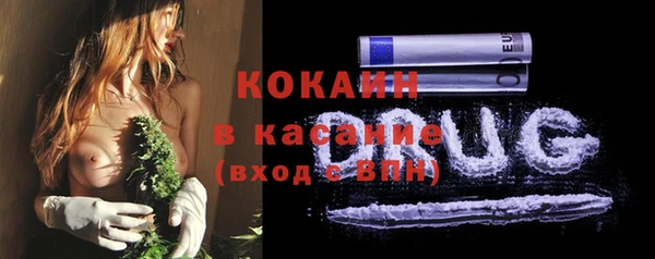 PSILOCYBIN Ельня