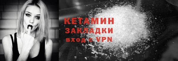 PSILOCYBIN Ельня