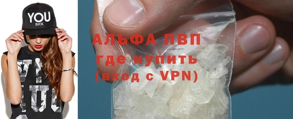 PSILOCYBIN Ельня