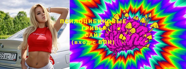 PSILOCYBIN Ельня