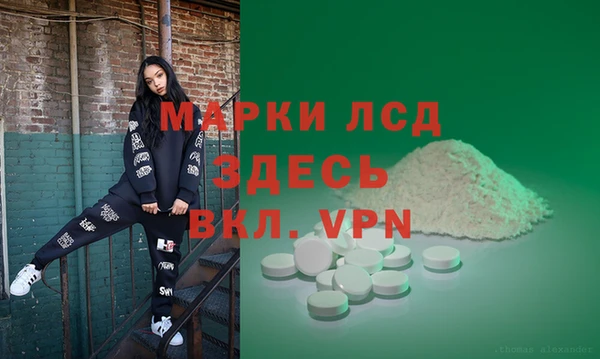 PSILOCYBIN Ельня