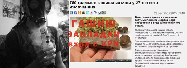PSILOCYBIN Ельня