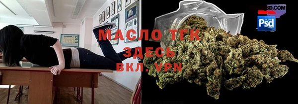 PSILOCYBIN Ельня