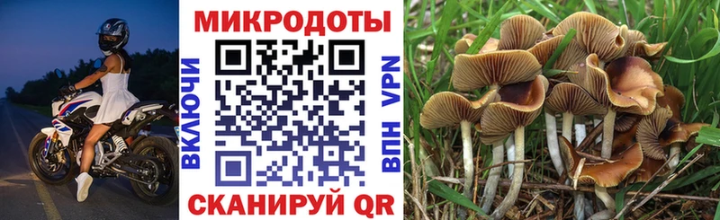 купить наркотик  kraken вход  Псилоцибиновые грибы Magic Shrooms  Иркутск 