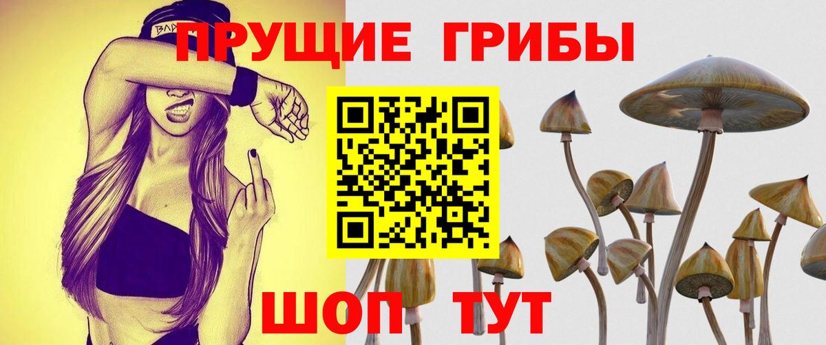 Галлюциногенные грибы Psilocybe  Псилоцибиновые грибы мухоморы  Вход с VPN  Иркутск 